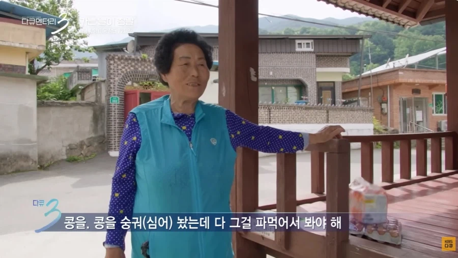 서울 에서 온 PD양반 (15)