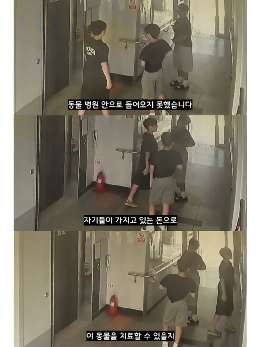 싱글벙글 2만원을 모아 동물병원 방문한 초등학생들 (5)