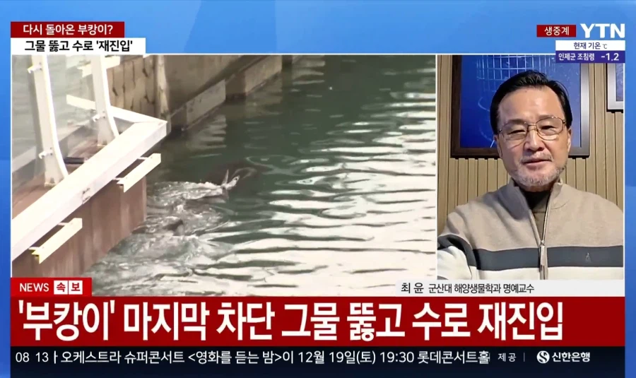 속보) 부캉이, 외부 차단벽 돌파하고 수로 재진입 성공