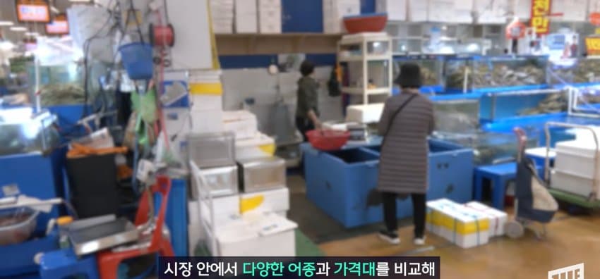 한강 필승 조합이 바꺘다, 회크닉 인기. (19)