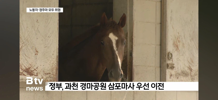 동물권 침해에도 침묵 중인 동물보호단체들._1.webp