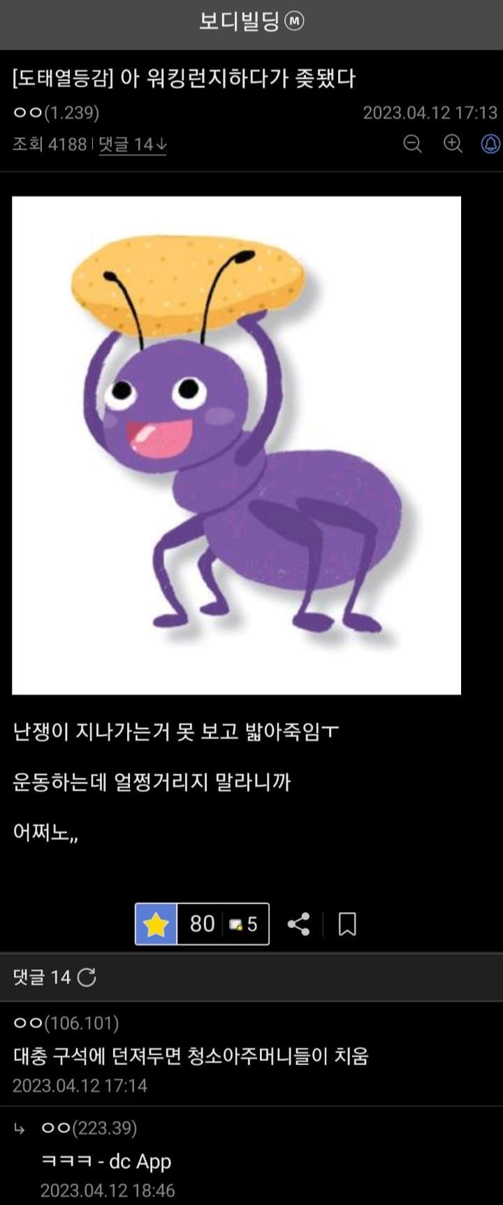 싱글벙글 보디빌딩갤 난쟁이 문학모음 (10)