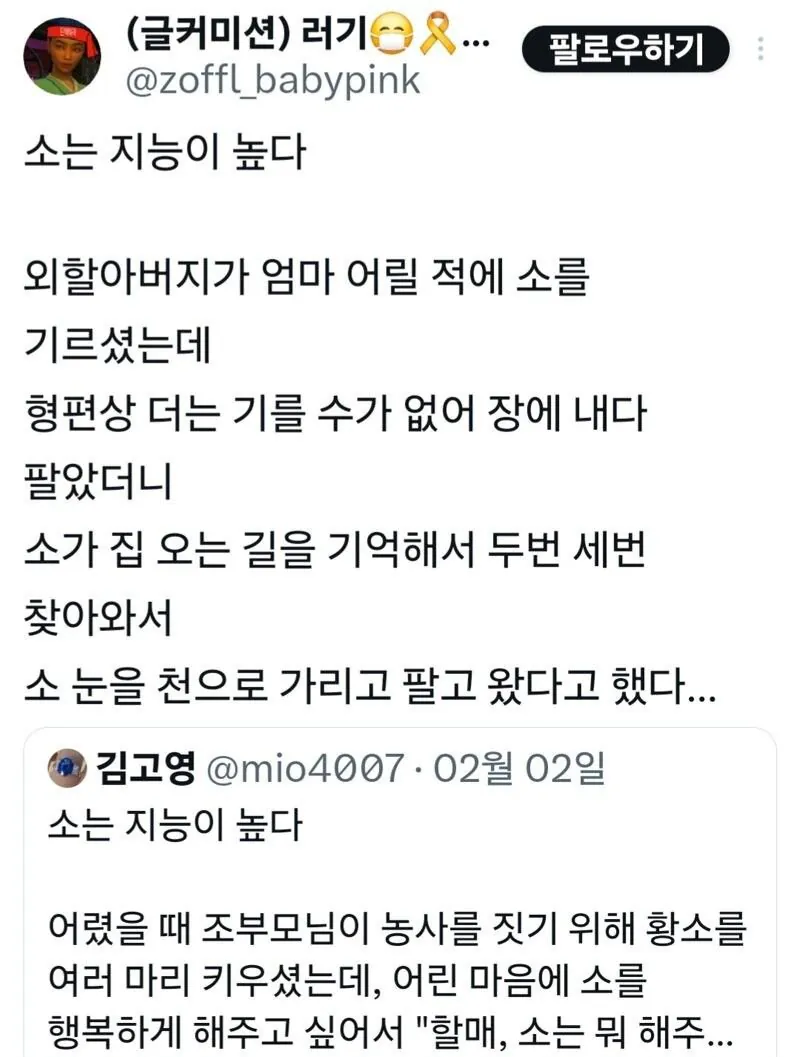 소는 생각보다 지능이 높다 (3)