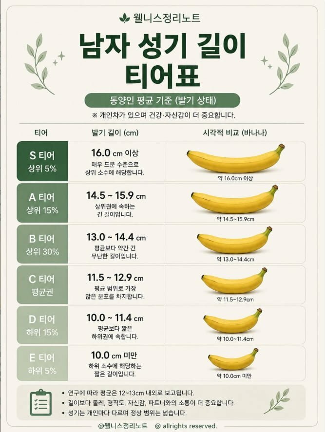 남자 고츄 크기 티어표