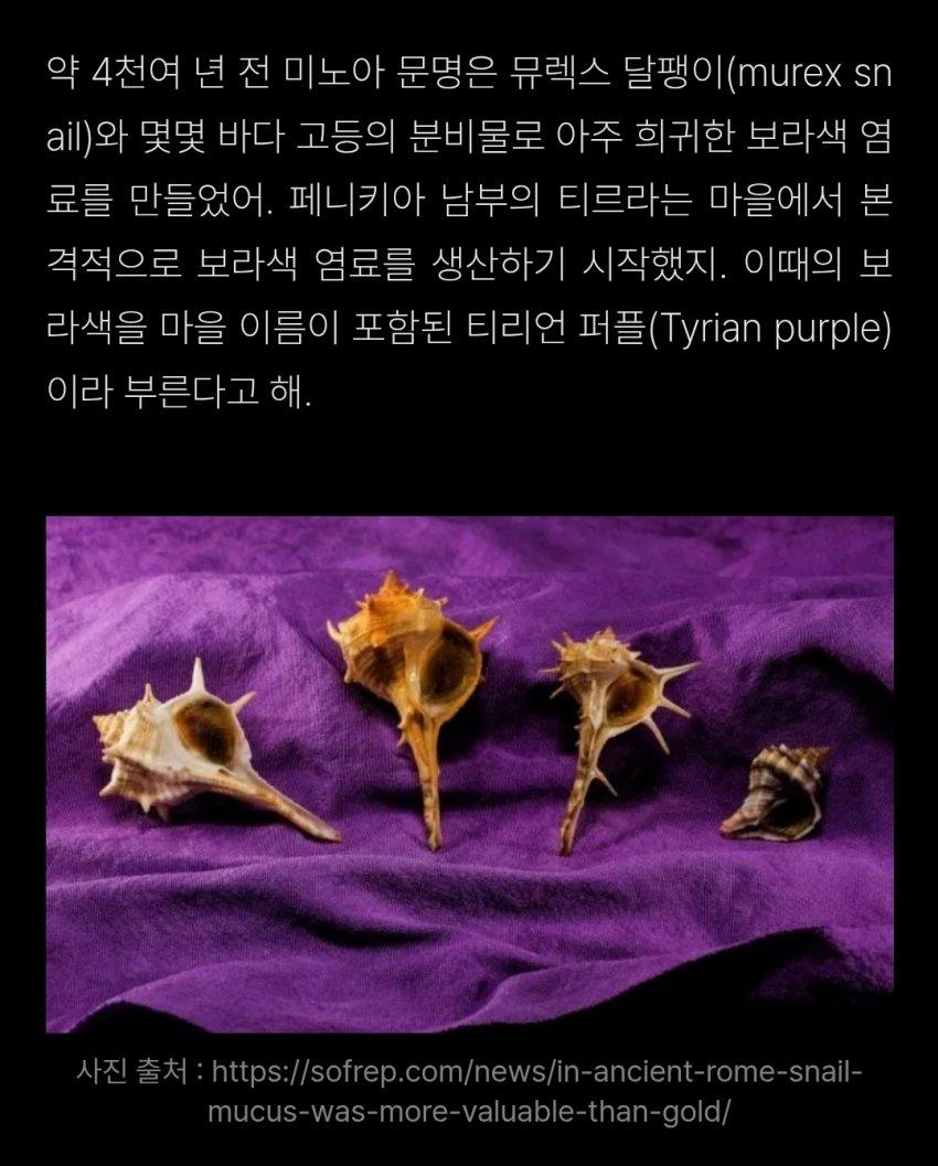 싱글벙글 고대시대 황제만 입을 수 있었던 보라색 (12)