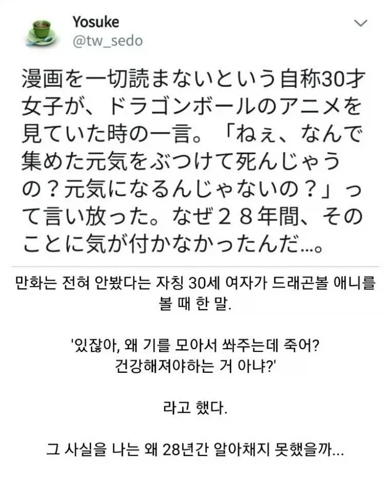 드래곤볼을 처음 본 30살 여자의 말
