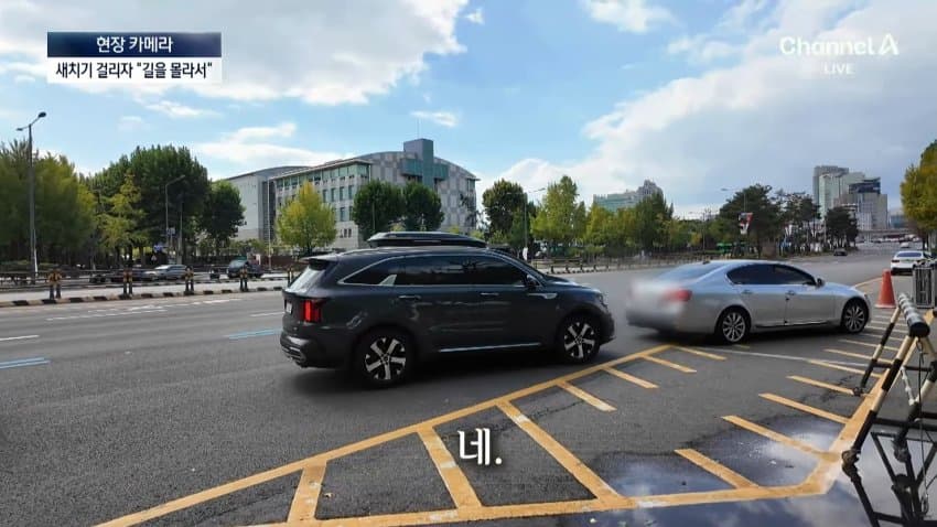 채널a) 차 머리부터 '쑥'..야구장 앞 얌체들 (18)