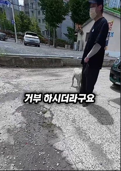 평생 목욕 한번 안 해본 차고지 지킴이 2살 한성이의 생애 첫 목욕대작전 (28)