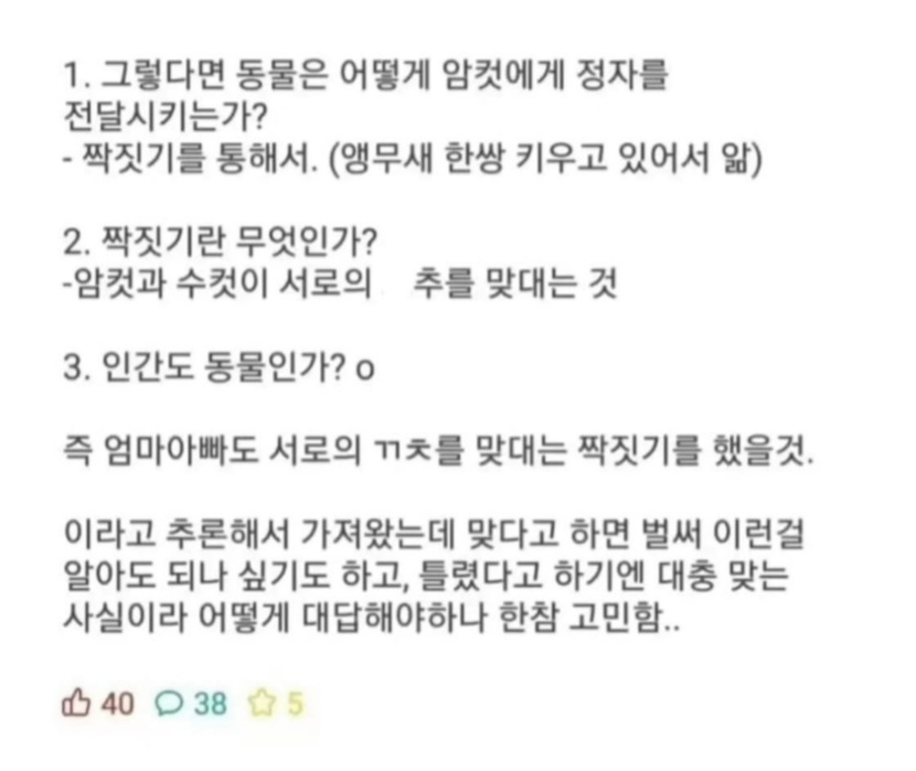 6살 조카가 ㅅㅅ를 추론해냄 (3)