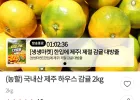 제주 하우스감귤 2kg