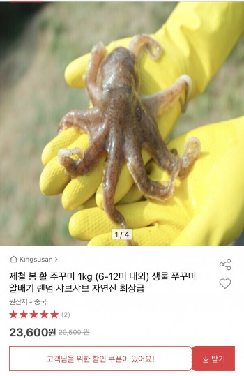 [옥션] 제철 봄 활 주꾸미 1kg 6-12미 내외 (23,600원/무료)