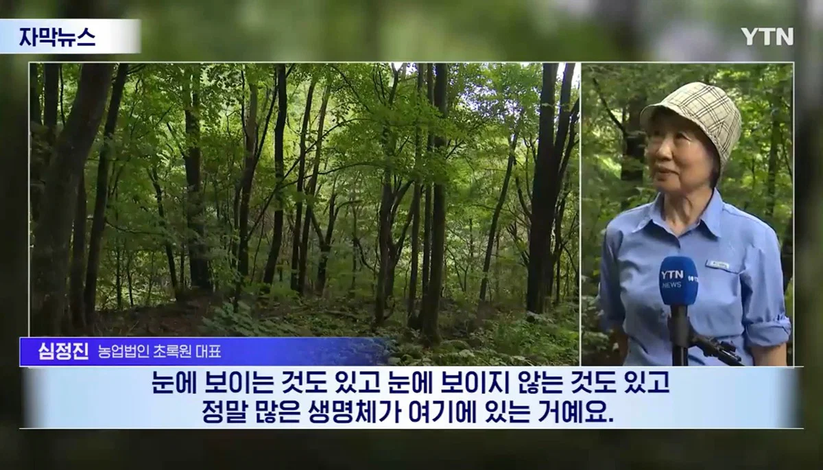 수십억 들여 숲 사놓고 아무것도 안한 이유 (10)