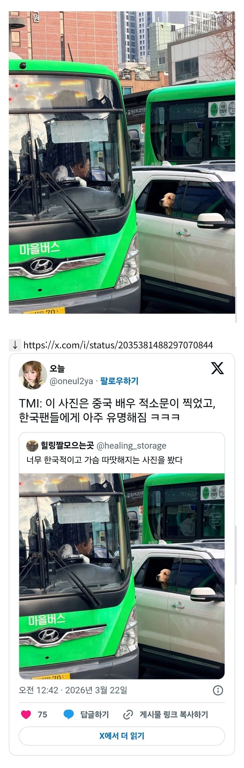 중국 배우가 우연히 찍었다는 한국의 어떤 풍경