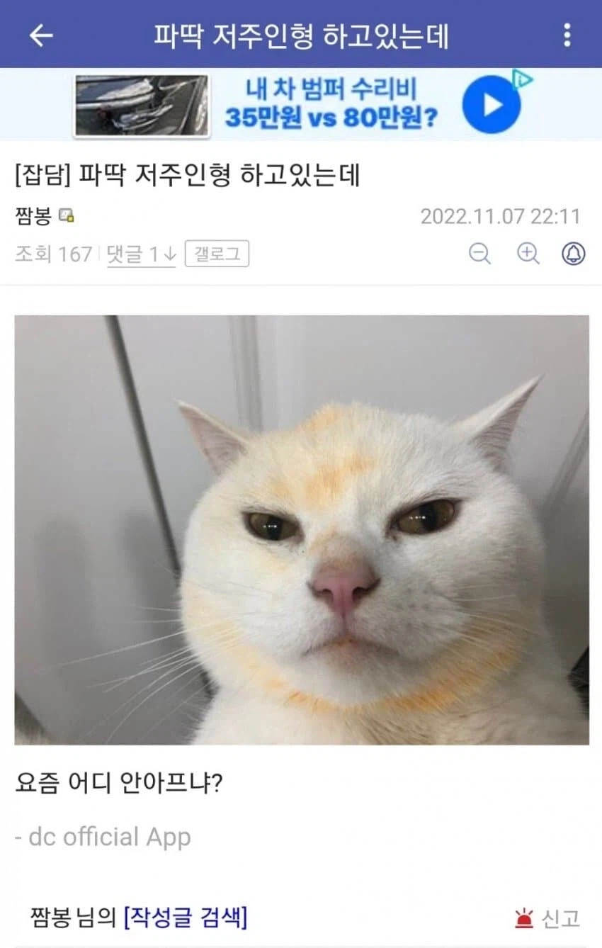 파딱 저주인형 하고 있는데