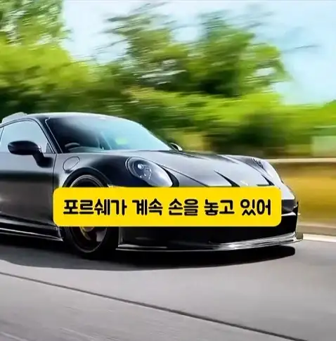 도둑들이 포르셰 눈알만 빼가는 이유