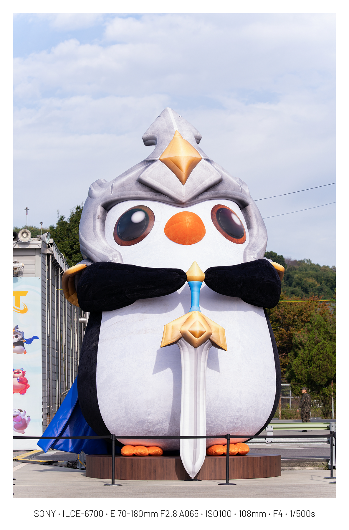 오늘자 사천 철새 사진