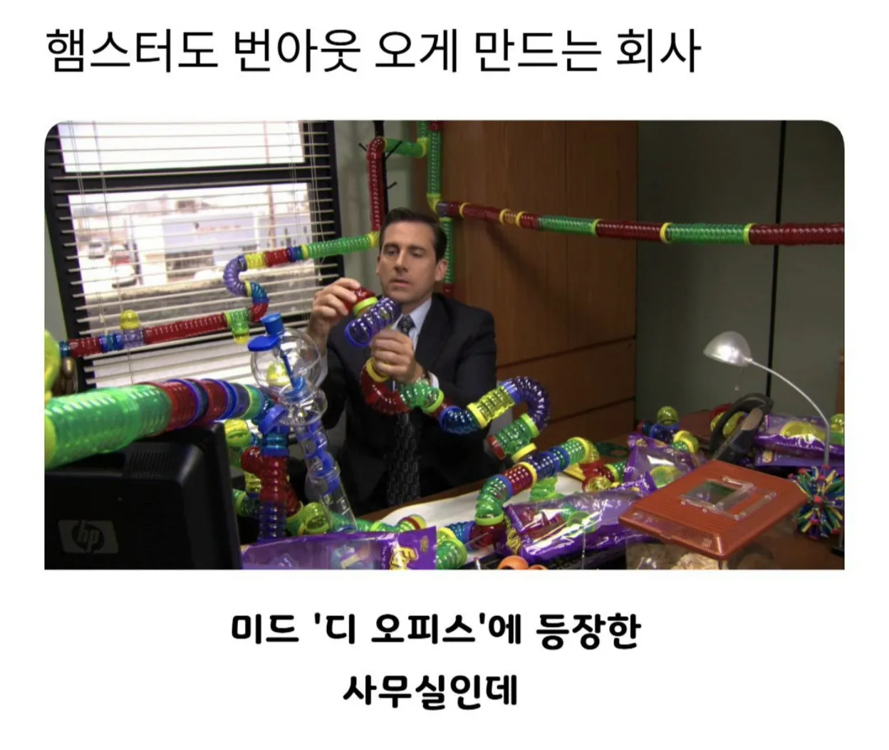 햄스터도 번아웃 오게 만드는 회사
