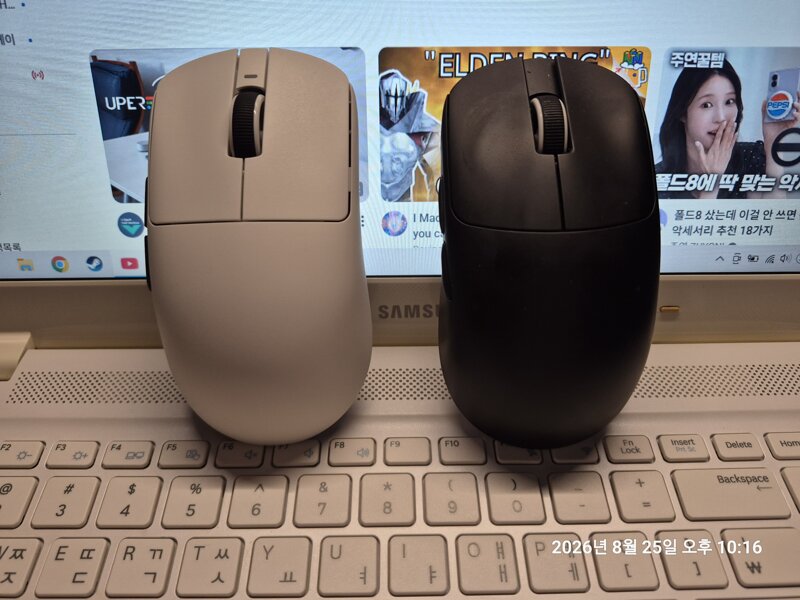 잠자리