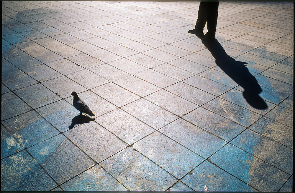 [Velvia50] 지하철 한 정거장 지나서 내림 (11)
