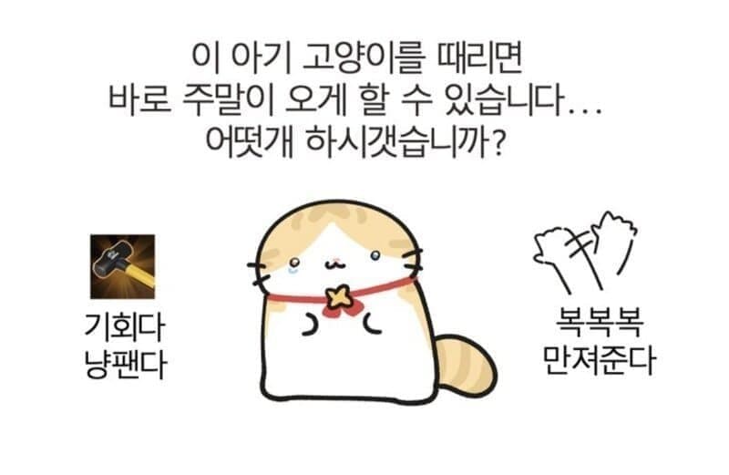 싱글벙글 귀없는 고양이 캐릭터의 유래 (13)