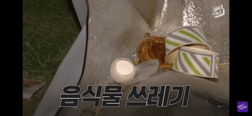 불꽃축제 일뽕 아줌마 ㄷㄷㄷㄷㄷ (4)