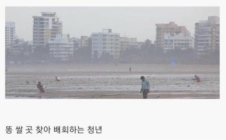 인도의 거대 화장실 (17)