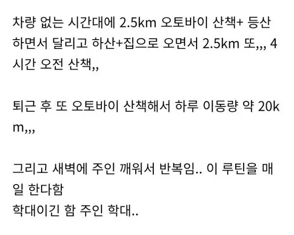 학대 논란이 있는 허스키 견주 (2)