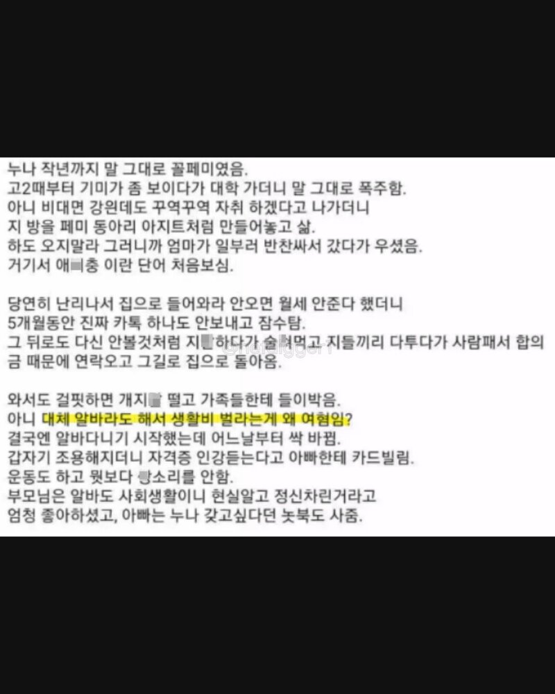 페미짓하던 누나때문에 집안 풍비박산남