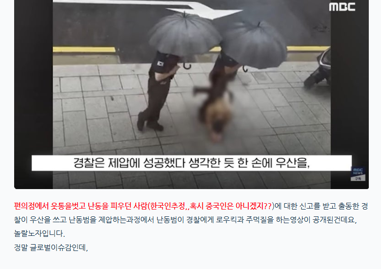 로우킥 날리는 현행범 체포하는 경찰 (2)