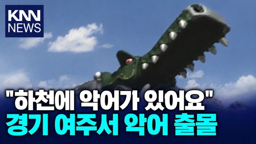 한국 동물 탈출 소동 (4)