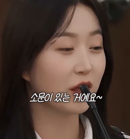 사실 루머공장이라는 나무위키 (20)