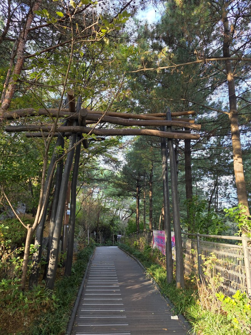 서울에서 남산타워,롯데타워를 볼수있는 공원 (6)