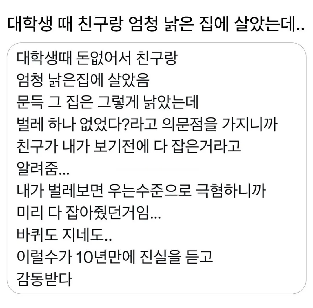 친구랑 낡은 집에 살았는데