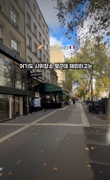 프랑스 9년차 보여주는 폭동시위 이후 현재 파리상황 (7)