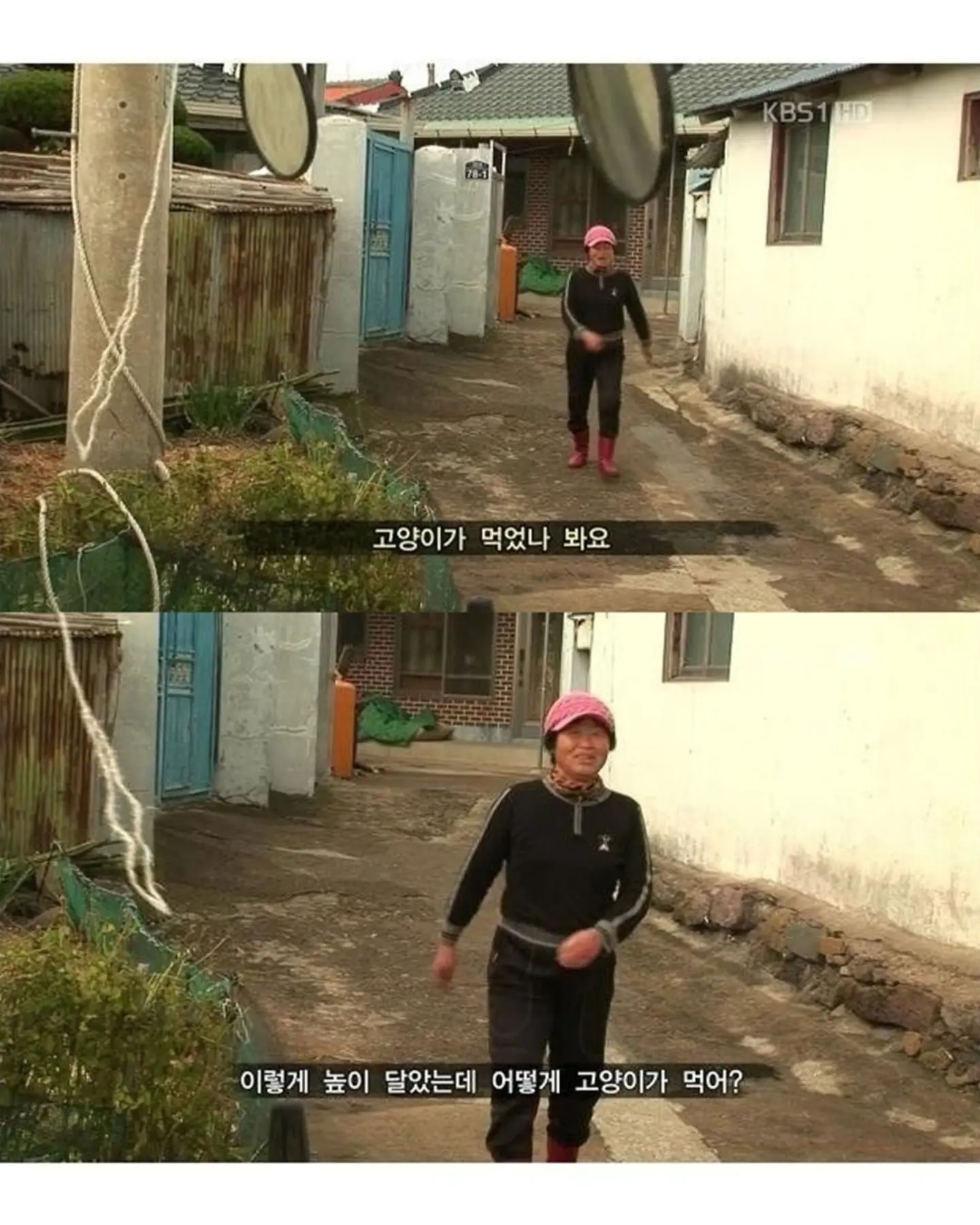 고양이가 생선 안 훔치게 지켜보라 부탁받은 할머니 (12)