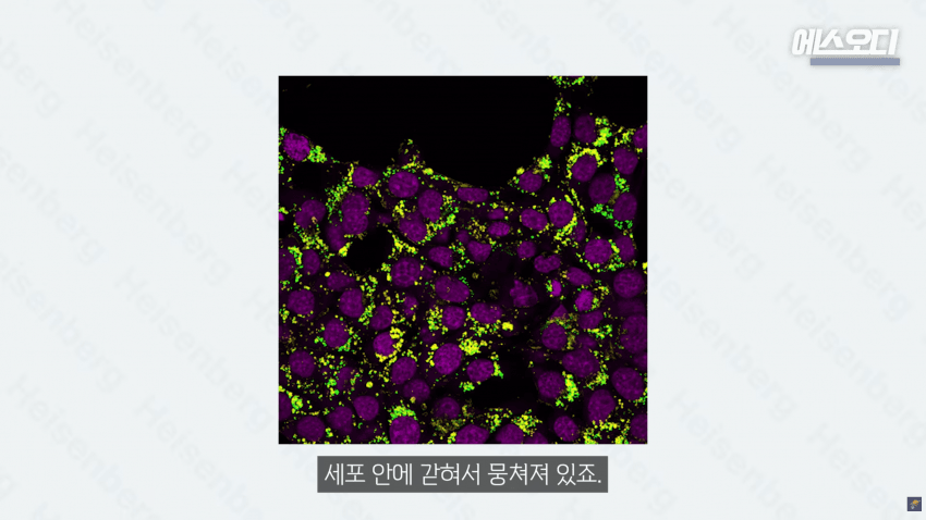 비아그라는 위대했다..역대급 암치료법 등장 (32)