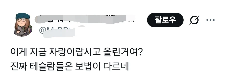 FSD 때문에 사고 났다는 테슬람 (2)