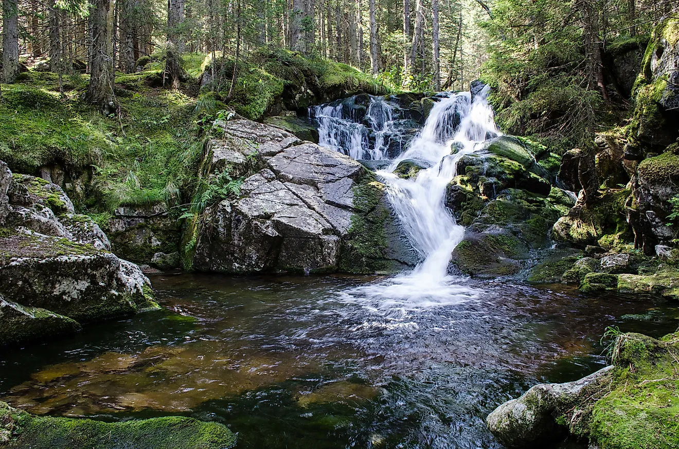 oIdgeW