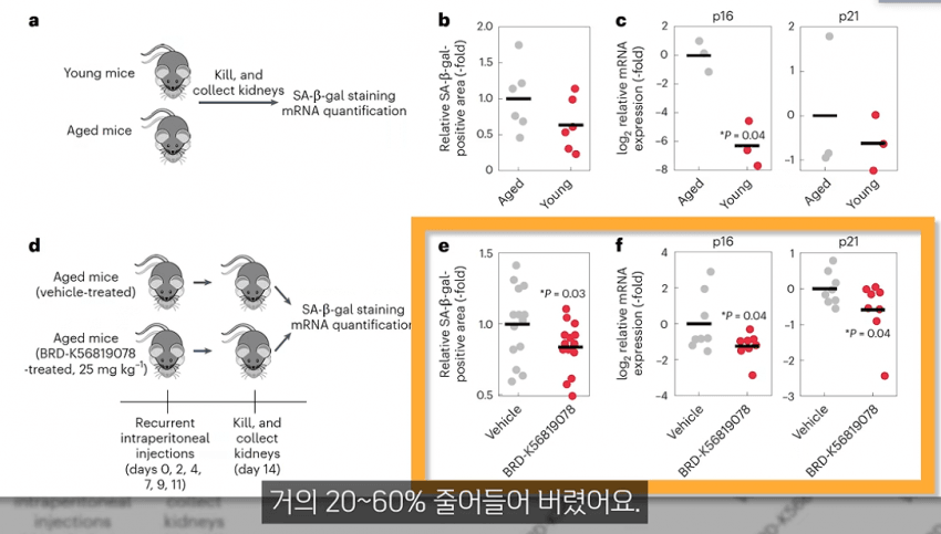 OPEN AI 바이오 혁신현황 (9)