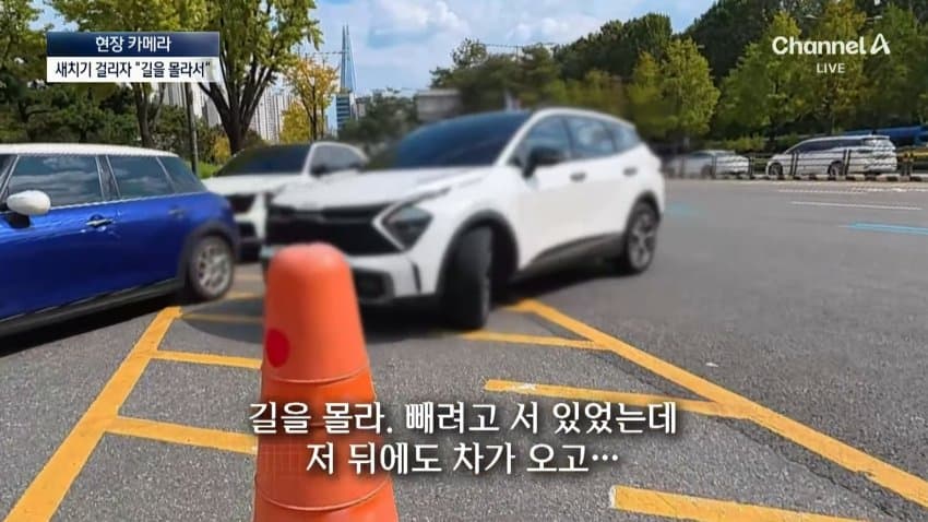 채널a) 차 머리부터 '쑥'..야구장 앞 얌체들 (11)