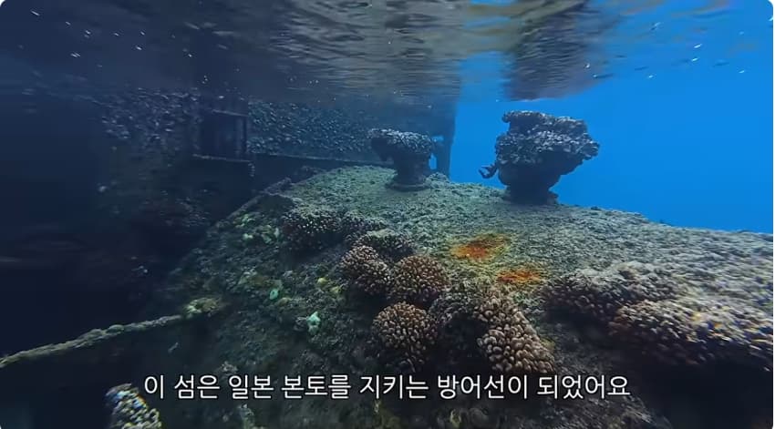 일본 부캉이 등장? 한국인이 좋아서 바다에 다이빙하면서 안부인사해주는일본 (19)