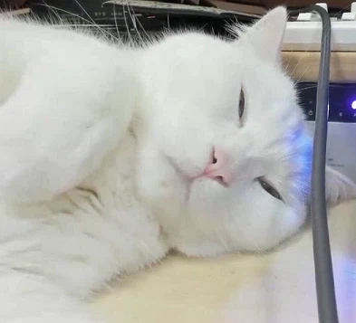 왜 다시 더워진거지