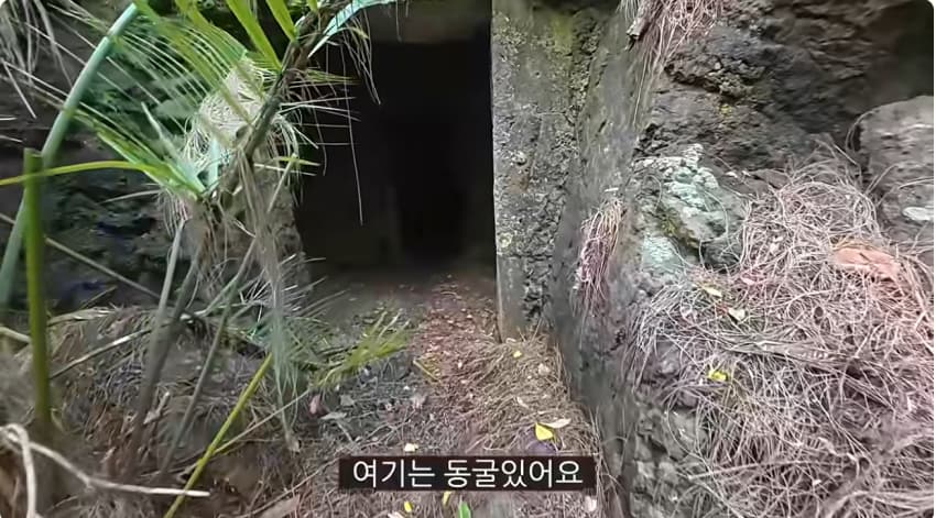 일본 부캉이 등장? 한국인이 좋아서 바다에 다이빙하면서 안부인사해주는일본 (28)