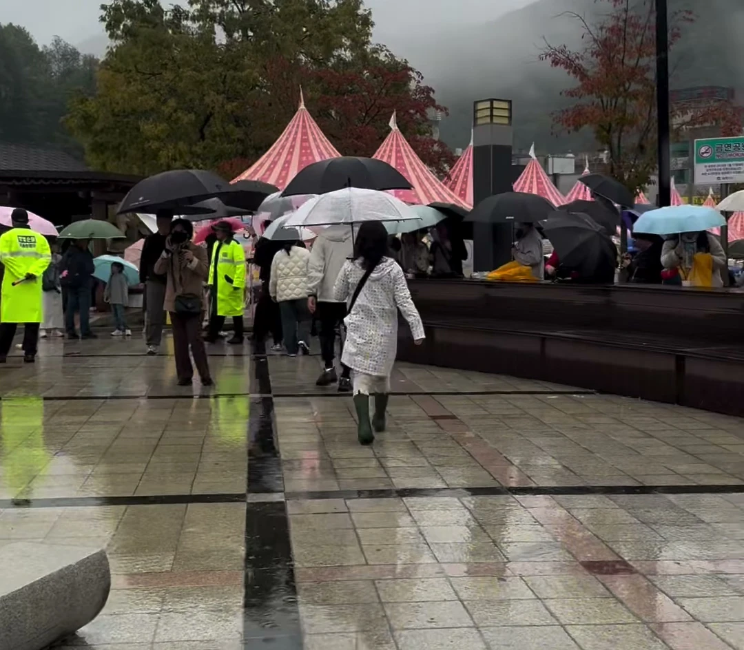 야 비오면 김밥축제 사람 없다고 한놈 나와!!!!! (9)