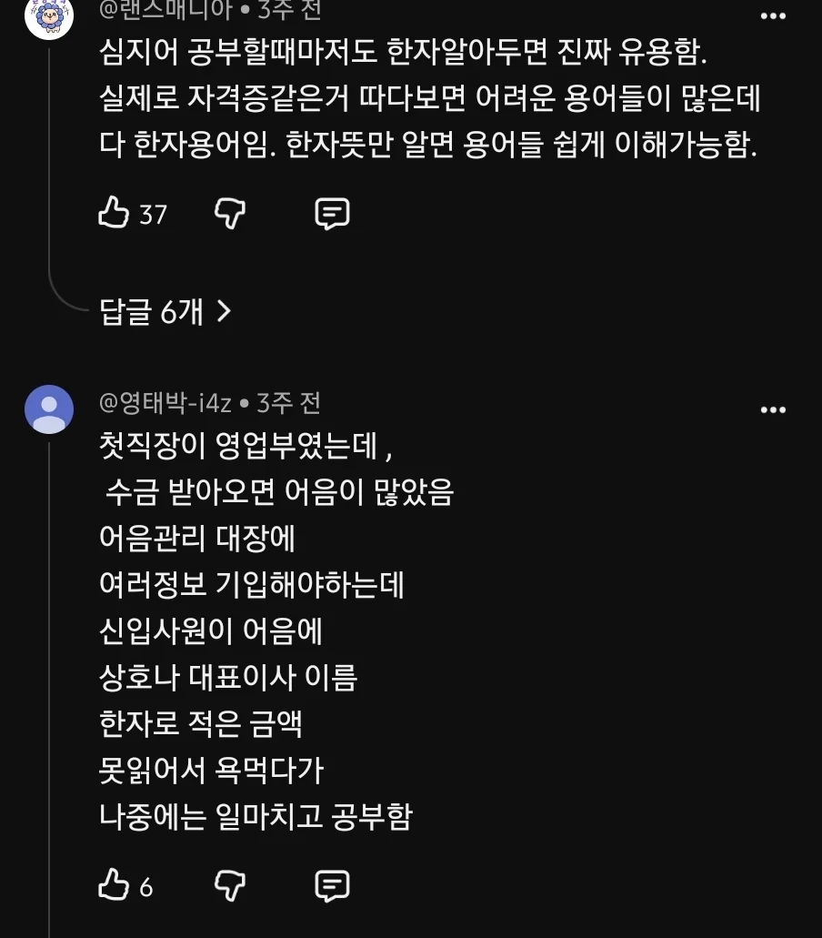 28년부터 초등 교육에 한자 교육 부활시킨다는 이유 (2)