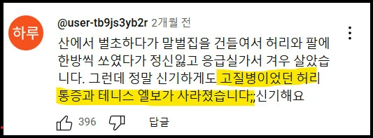 충격적인 말벌에 쏘인 후기