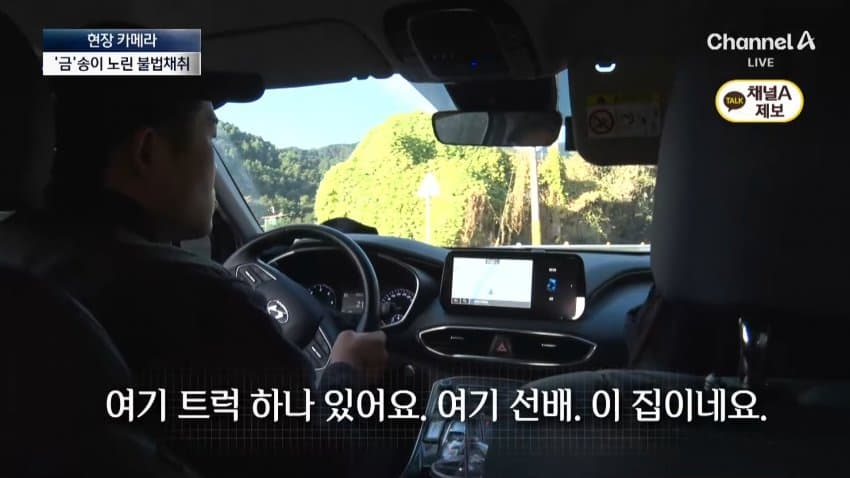 채널a) 송이버섯 1kg에 160만원...밤낮 추격전 (21)