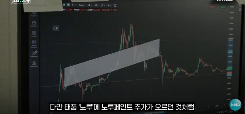 상어 한마리에 3만명 몰려, 부산 명소가 된 북항 (47)