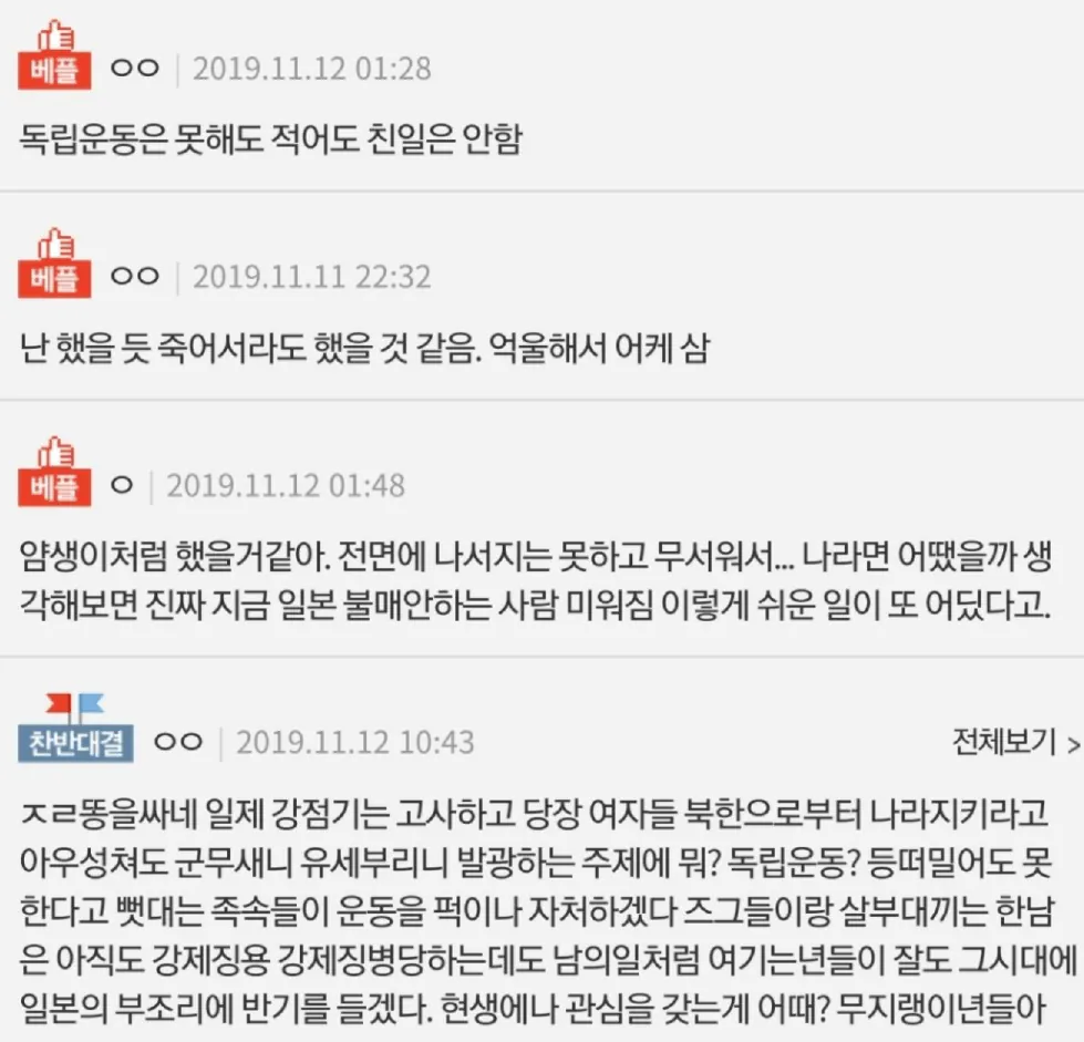 다시 보는 여초 커뮤의 아가리 애국 레전드 (2)