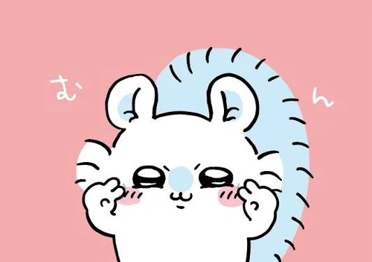 치이카와(먼작귀) 좋아하는 덬들 최애 누군지 궁금해서 써보는 글 (4)